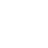 东莞（分公司）
